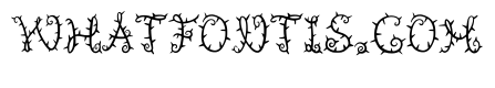 Rose Thorn By Squeeb Cr Regular