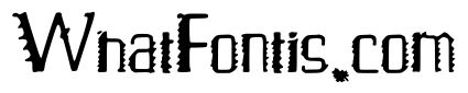 Vogue_Serif
