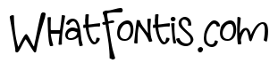 PN Thingamabob Bold