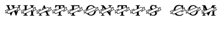 Monograme Ribbon