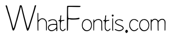 Ferret