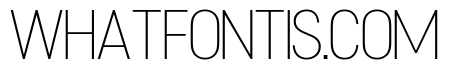 Concourse Thin