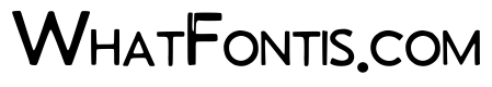 Bongo