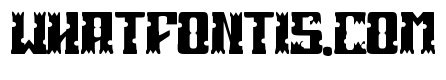 Phobia Nardo Bold