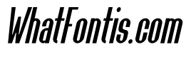 Monarch Thin Italic