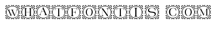 Michelia Monogram Regular