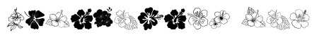 Hibiscus Doodle