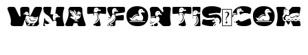 Hi Duck