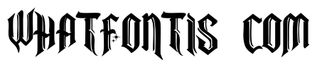 Cowboy  wanted