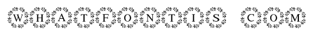 Blossom Monogram