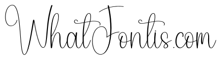 Amstedam Signature