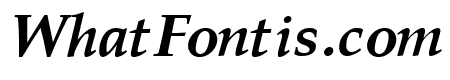 Pali Bold Italic