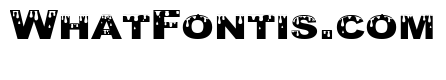 Yurine Overflow