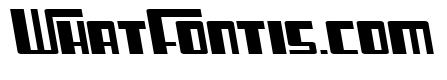 Cosmic Age Extended Italic