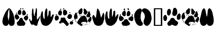 AnimalTracks