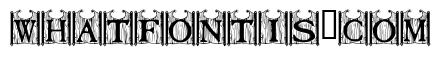 Tavern Doors