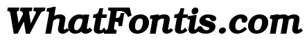 ER Bukinist 1251 Bold Italic