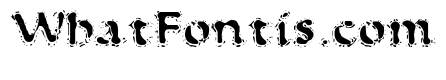 VTC AntiqueFizz Reguar
