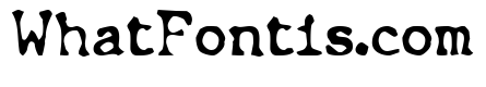Chunk Type