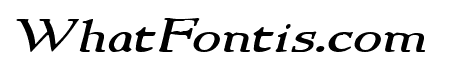NewStyleWide Italic