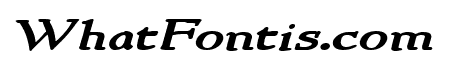 NewStyleWide Bold Italic