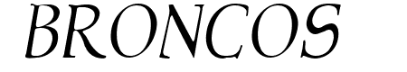 NewStyleLight Italic