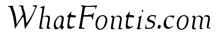NewStyleLight Italic