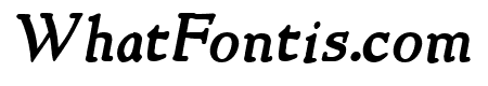 NewStyle Bold Italic
