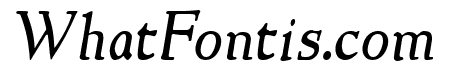 NewStyle Italic