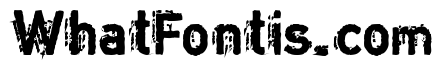 Copystruct Bold
