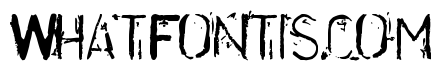 DisorderedBold