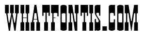 Wanted Poster Caps