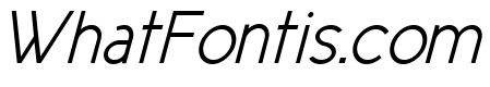 New Cicle Semi Italic