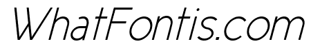 New Cicle Fina Italic