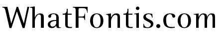 Leftist Mono Serif