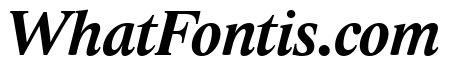 Lido STF CE Bold Italic