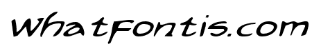 Arilon Expanded Italic