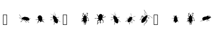 The Beetles