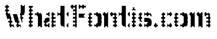 WC Wunderbach Perfo Bta  DemiBold