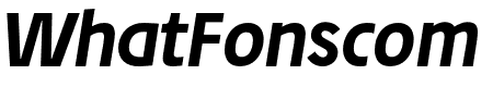 Josef Pro Bold Italic