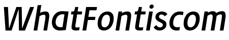 Josef Pro Italic