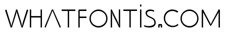 SS_Adec2.0_text