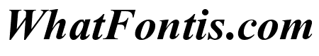 Turn W Bold Italic