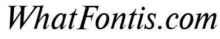 NewtonCTT Italic