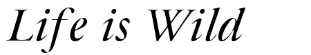 Bulgarian Garamond Italic