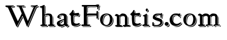NewStyle Embossed
