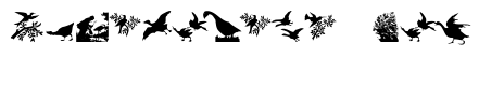 BirdsCuts