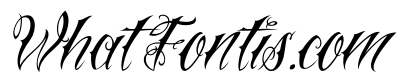 Vtc-NueTattooScript