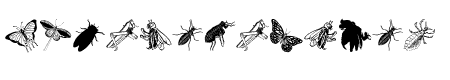 Insects