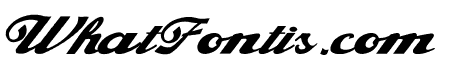 Alfaowner Script Bold Italic